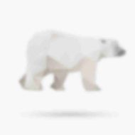polar-bear