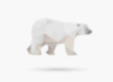 polar-bear